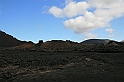 Kanary_2010 064